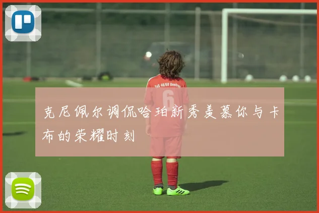 克尼佩尔调侃哈珀新秀羡慕你与卡布的荣耀时刻
